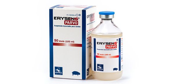 Picture of ErySeng Parvo - 50ml