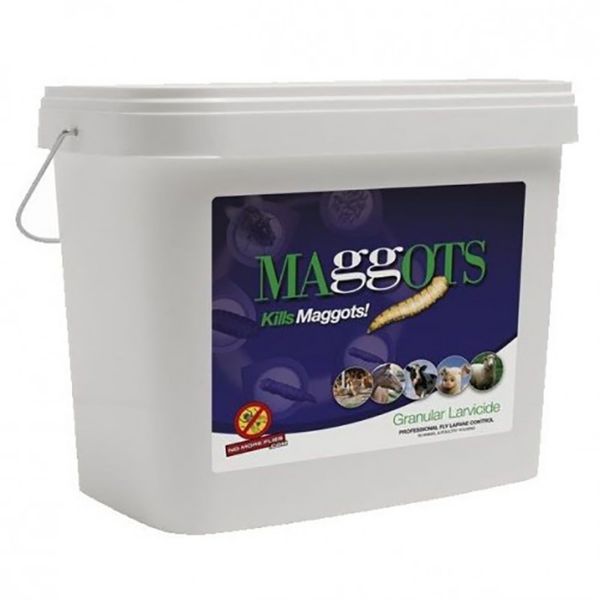 Picture of Maggots - 10kg