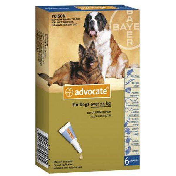 Picture of Advocate Spot-On - >25kg - Xlarge Dog - 21 pack