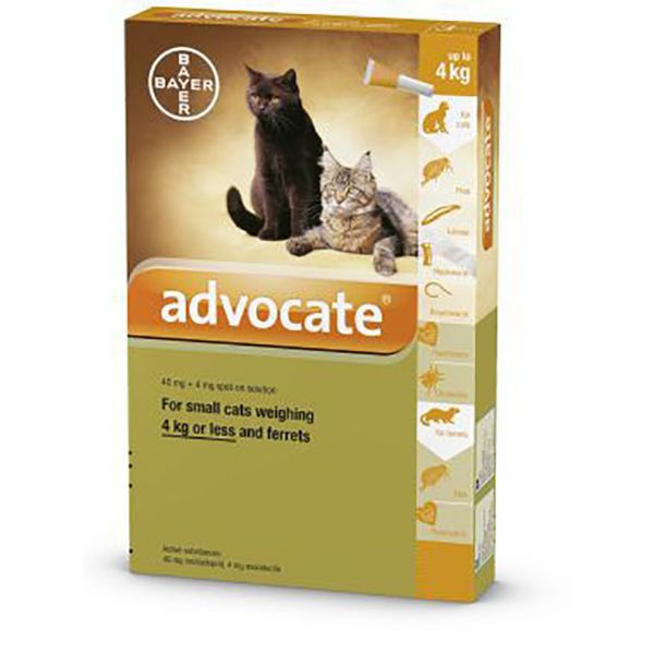 Picture of Advocate Spot-On - < 4kg - Small Cat - 21 pack
