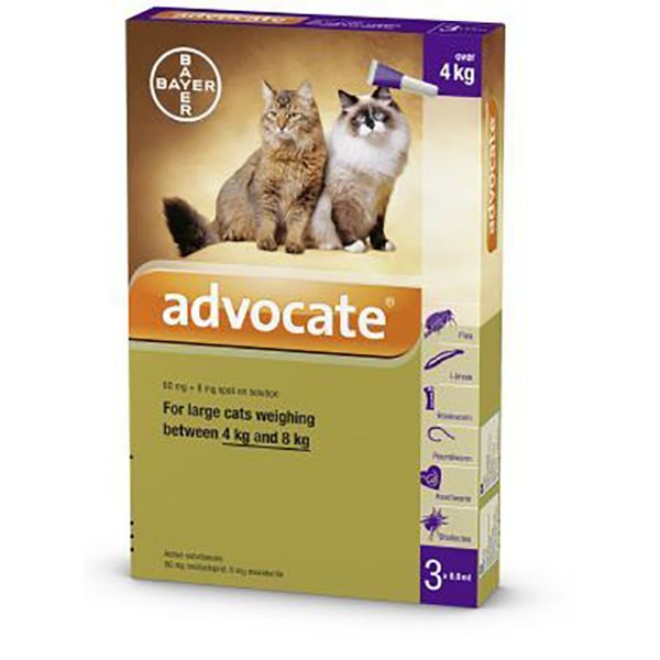 Picture of Advocate Spot-On - 4-8kg - Large Cat - 21 pack