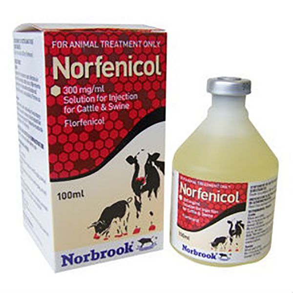Picture of Norfenicol - 100ml