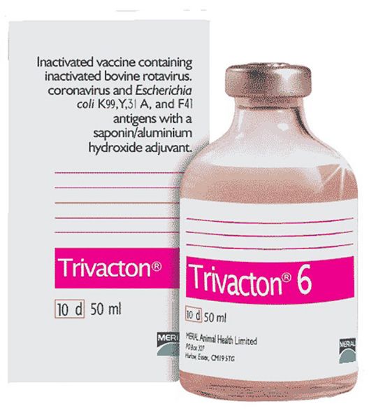 Picture of Trivacton 6 - 50ml