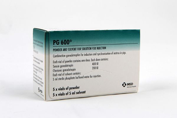 Picture of Pg600 - 5 x 1ml