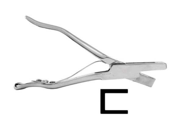 Picture of Ear Notcher - 4cm- C design