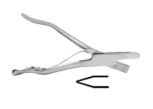 Picture of Ear Notcher - 4cm - D design