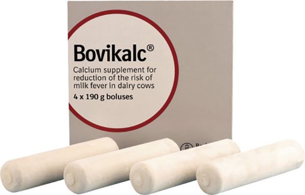 Picture of Bovikalc Calcium Bolus - 192g x4