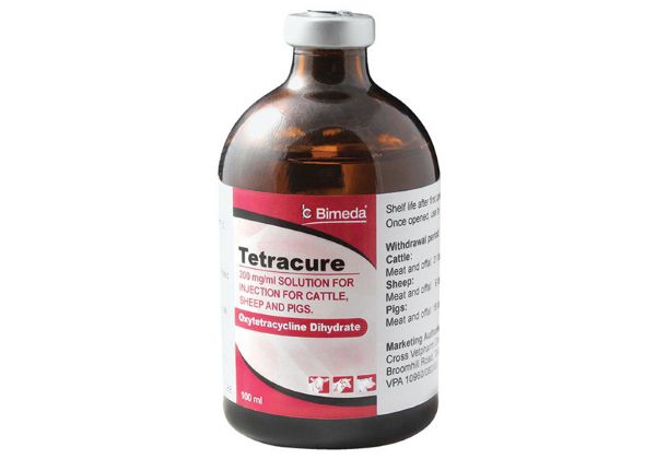 Picture of Tetracure - 100ml