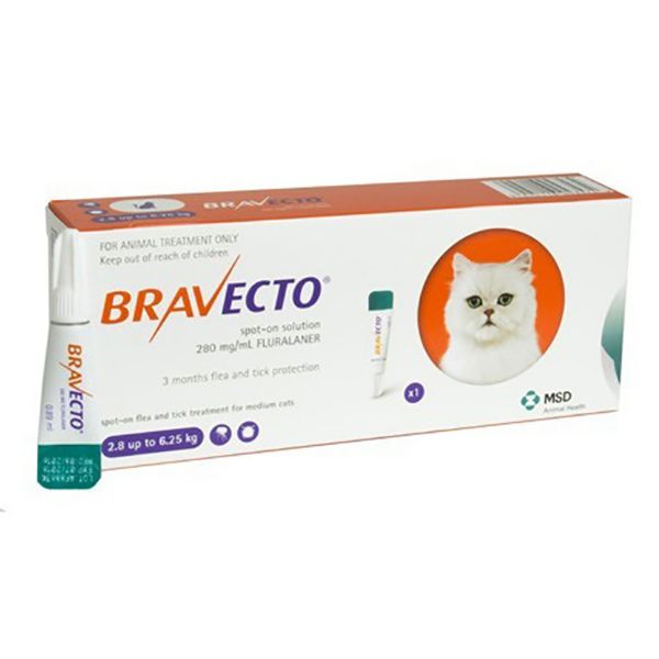 Picture of Bravecto Spot On Cat - 2.8kg-6.25kg