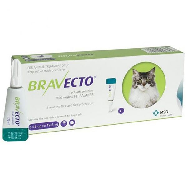 Picture of Bravecto Spot On Cat - 6.25kg-12.5kg