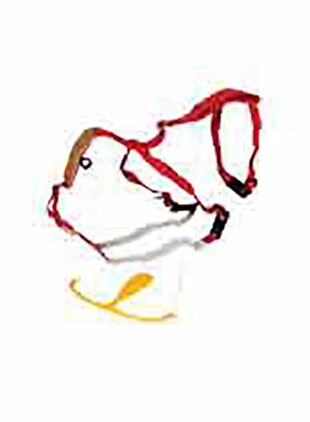 Picture of Super Prolapse Harness - Red