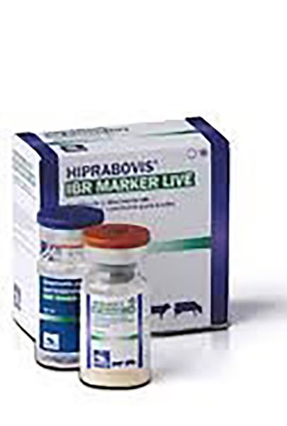 Picture of Hiprabovis IBR Marker Live - 10ml