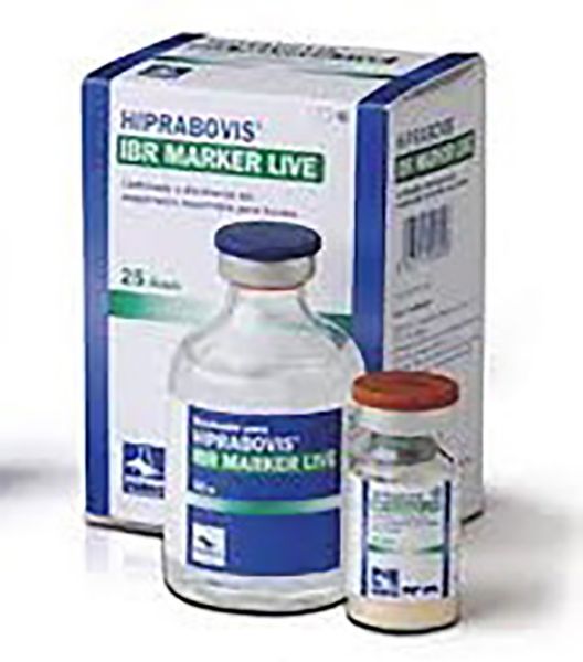 Picture of Hiprabovis IBR Marker Live - 50ml