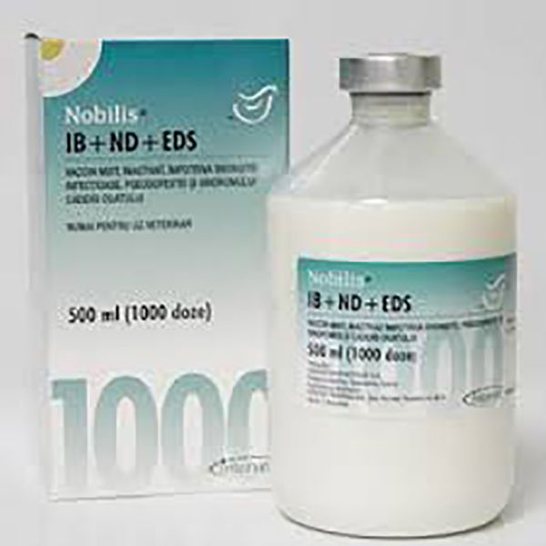 Picture of Nobilis Ib+Nd+Ed - 1000 Dose