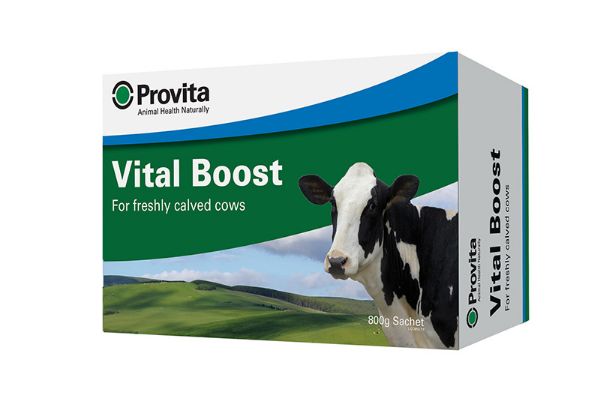 Picture of Provita Vital Boost - 800g