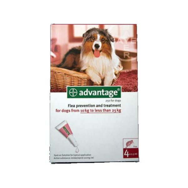 Picture of Advantage 100 - Medium Dog - 4 pack