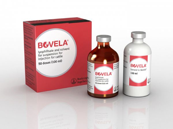 Picture of Bovela BVD - 100ml