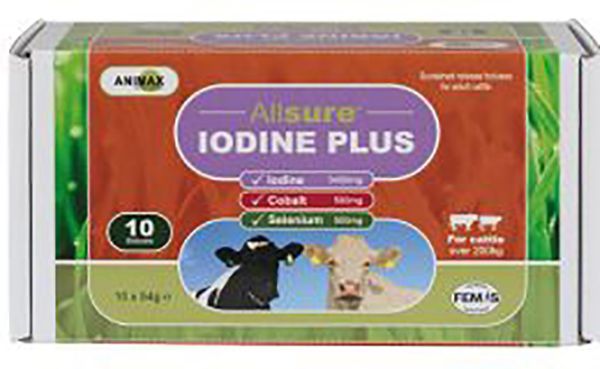 Picture of Animax Allsure Iodine Plus - 10