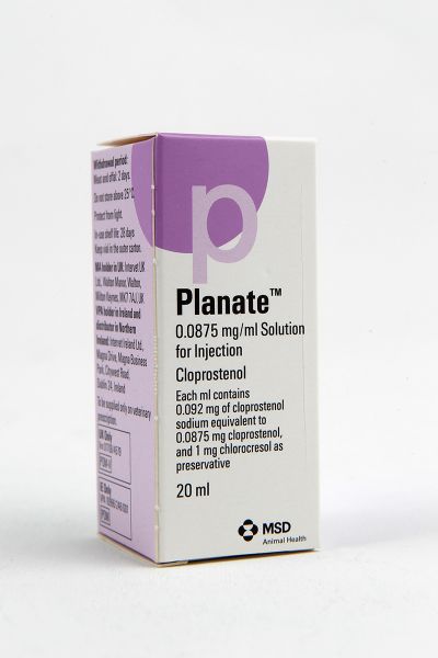 Picture of Planate  - 20ml