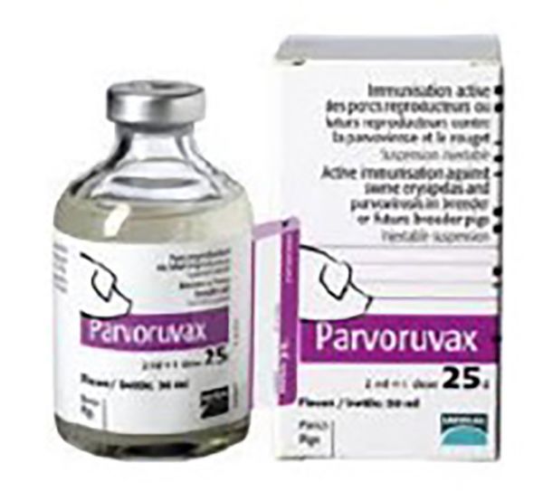 Picture of Parvoruvax - 50ml