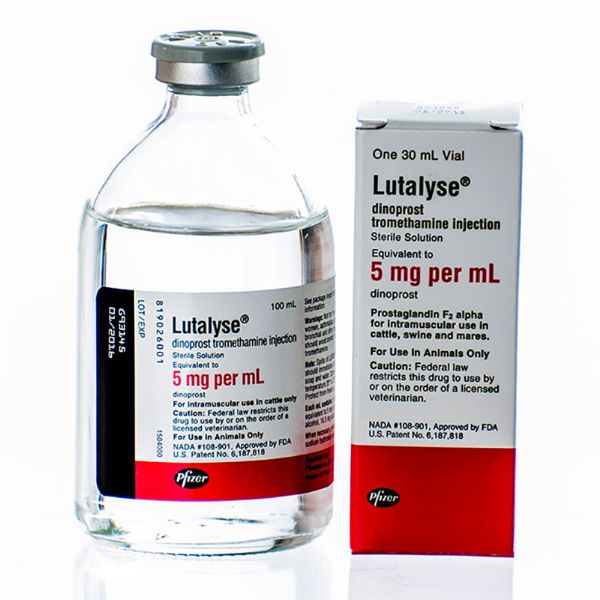 Picture of Lutalyse - 30ml