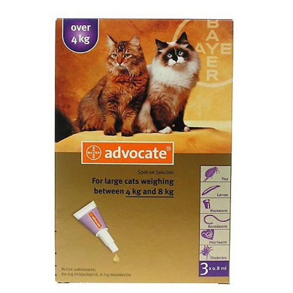 Picture of Advocate Spot-On - 4-8kg - Large Cat - 3 pack