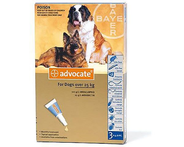 Picture of Advocate Spot-On - >25kg - Xlarge Dog - 3 pack