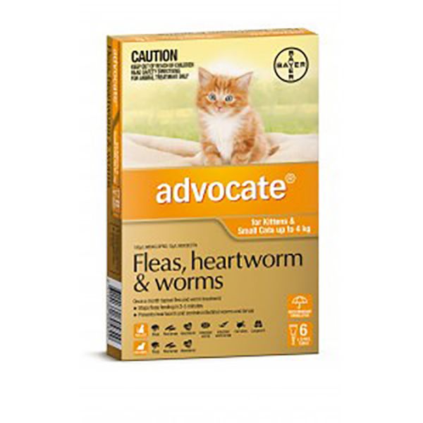 Picture of Advocate Spot-On - < 4kg - Small Cat - 6 pack
