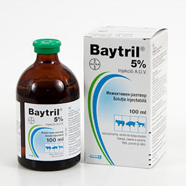 Picture of Baytril 50mg - 100ml