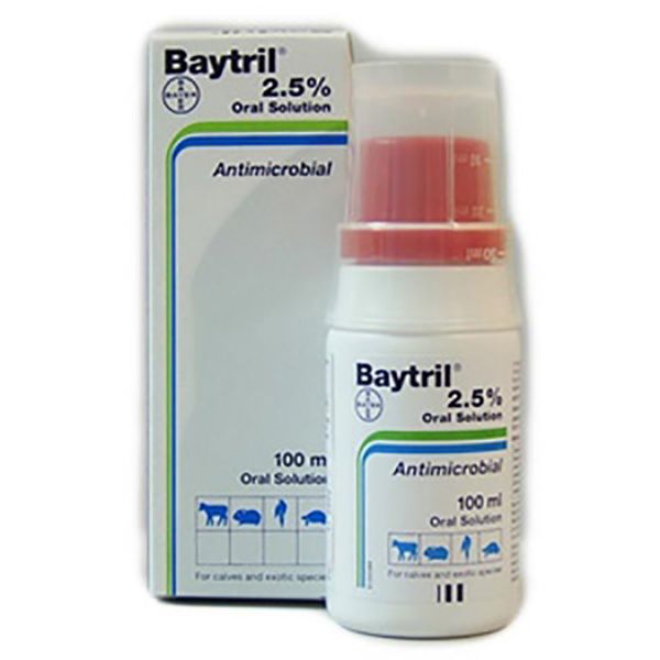 Picture of Baytril 2.5% - 100ml