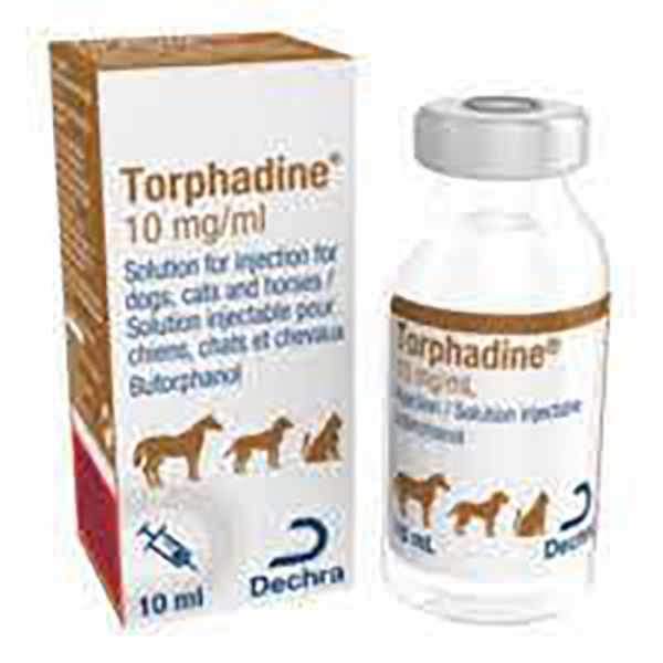 Picture of Torphadine - 10ml