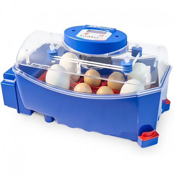 Picture of Egg Incubator - Blue