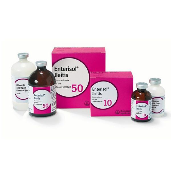 Picture of Enterisol Ileitis - 20ml