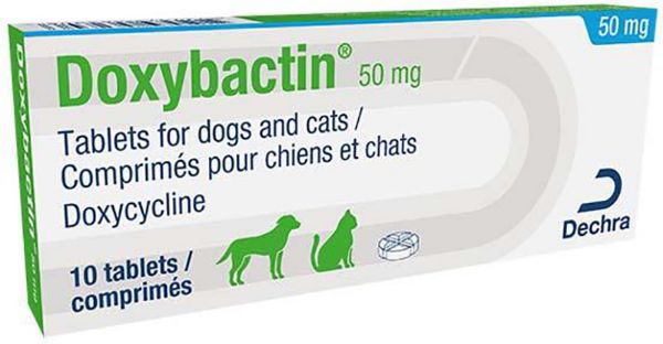 Picture of Doxybactin - 50mg - 10 Pck