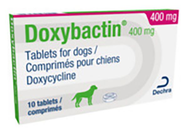 Picture of Doxybactin - 400mg - 10 pack