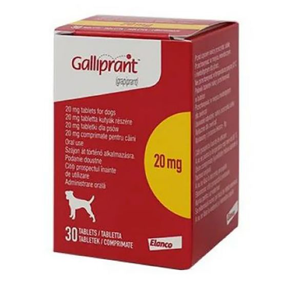 Picture of Galliprant - 20mg - 30 pack