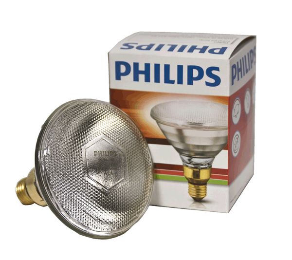 Picture of Philips Heatlamp Bulb - 175w - Clear