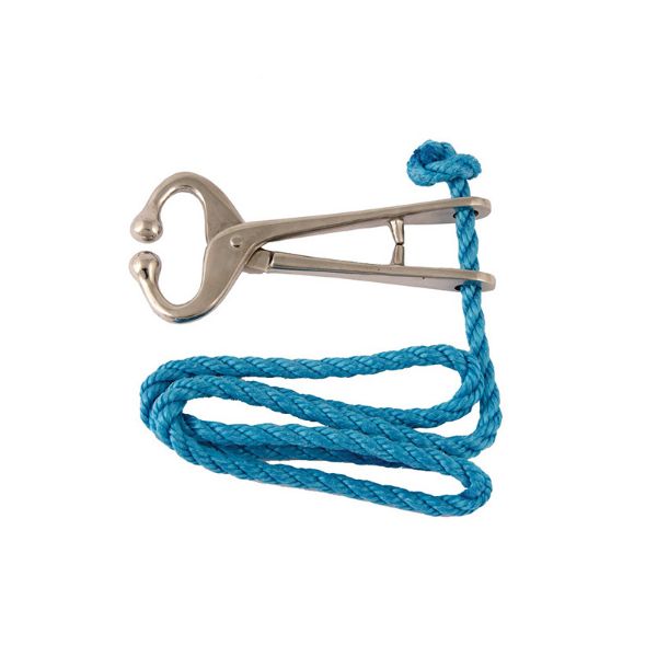 Picture of Bullholder With Rope