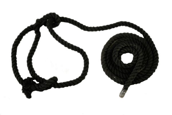 Picture of Cattle Cotton Halter - Black