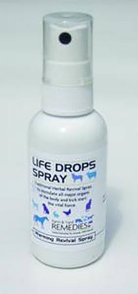 Picture of Life Drops Spray