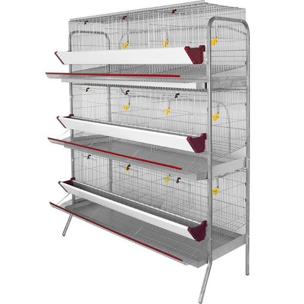 Picture of Laying Hen Exhibition Battery Cage
