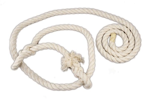 Picture of Bull Cotton Halter - Natural