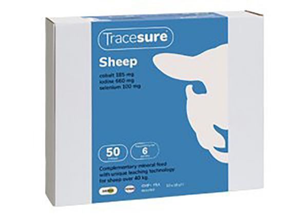 Picture of Tracesure Sheep 50's
