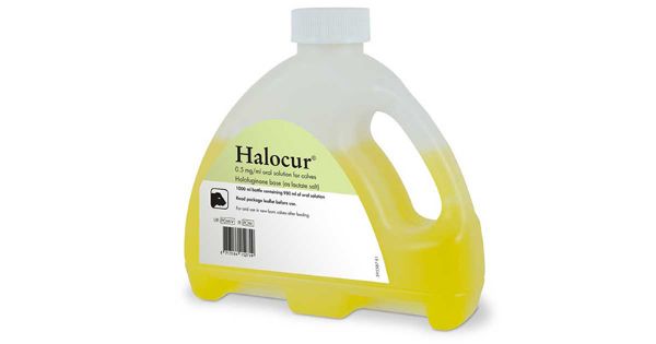 Picture of Halocur - 490ml - Refill pack