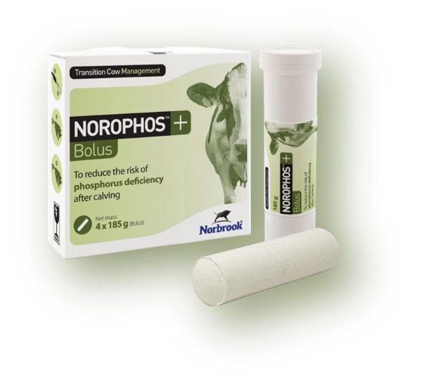 Picture of Norophos Plus - 185g x4