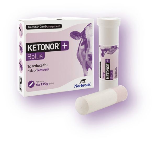Picture of Ketonor - 135g x5
