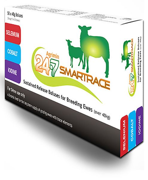 Picture of Agrimin 24-7 Smartrace Adult Sheep - 48g x 50