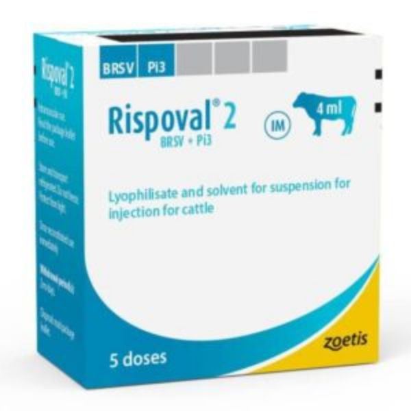 Picture of Rispoval 2 - 10ml