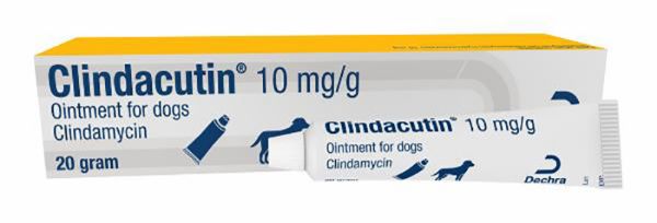 Picture of Clindacutin Ointment - 20g - 10mg/ml