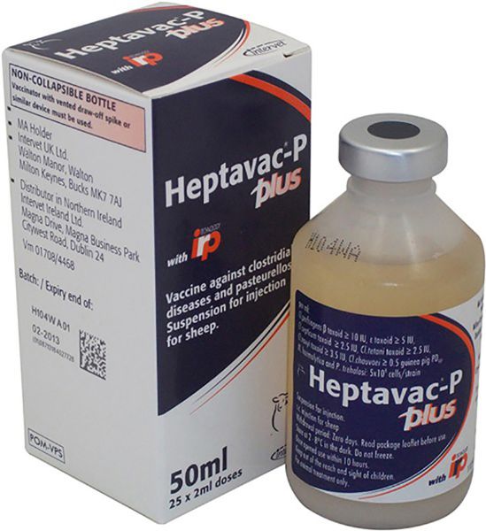 Picture of Heptavac P Plus - 50ml - UK